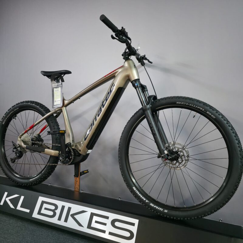 Corratec | E-Power X-Vert Pro Gent – Bild 7